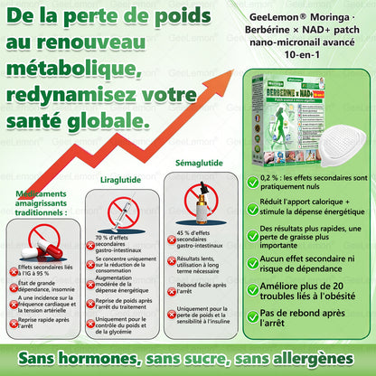 🫙🩸 𝐆𝐞𝐞𝐋𝐞𝐦𝐨𝐧® Moringa · Berberine × NAD+ 10 en 1 Patch Nano-Microneedle Avancé (À utiliser une fois par jour. Résultats visibles en 7 jours)