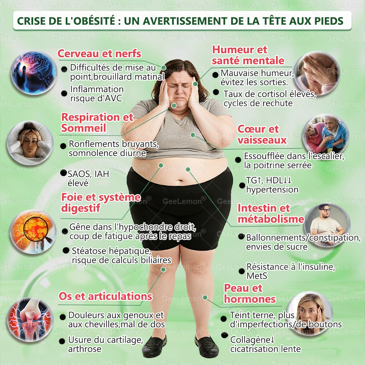 🫙🩸 𝐆𝐞𝐞𝐋𝐞𝐦𝐨𝐧® Moringa · Berberine × NAD+ 10 en 1 Patch Nano-Microneedle Avancé (À utiliser une fois par jour. Résultats visibles en 7 jours)