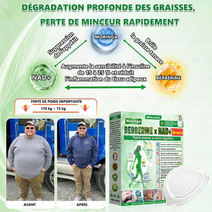 🫙🩸 𝐆𝐞𝐞𝐋𝐞𝐦𝐨𝐧® Moringa · Berberine × NAD+ 10 en 1 Patch Nano-Microneedle Avancé (À utiliser une fois par jour. Résultats visibles en 7 jours)
