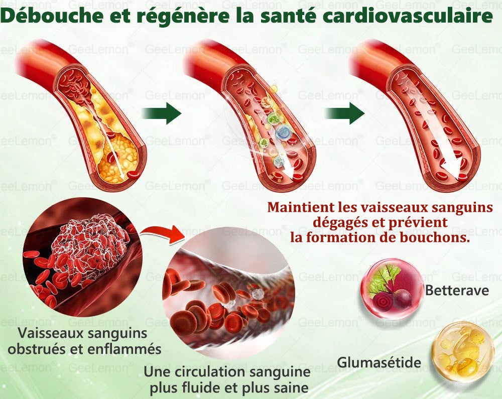 🫙🩸 𝐆𝐞𝐞𝐋𝐞𝐦𝐨𝐧® Moringa · Berberine × NAD+ 10 en 1 Patch Nano-Microneedle Avancé (À utiliser une fois par jour. Résultats visibles en 7 jours)