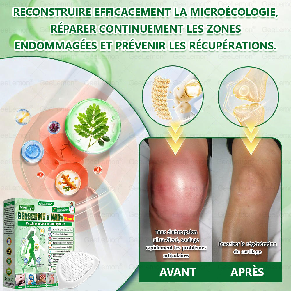 🫙🩸 𝐆𝐞𝐞𝐋𝐞𝐦𝐨𝐧® Moringa · Berberine × NAD+ 10 en 1 Patch Nano-Microneedle Avancé (À utiliser une fois par jour. Résultats visibles en 7 jours)