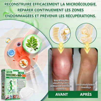 🫙🩸 𝐆𝐞𝐞𝐋𝐞𝐦𝐨𝐧® Moringa · Berberine × NAD+ 10 en 1 Patch Nano-Microneedle Avancé (À utiliser une fois par jour. Résultats visibles en 7 jours)