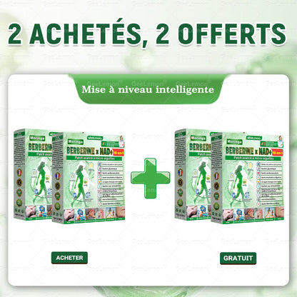 🫙🩸 𝐆𝐞𝐞𝐋𝐞𝐦𝐨𝐧® Moringa · Berberine × NAD+ 10 en 1 Patch Nano-Microneedle Avancé (À utiliser une fois par jour. Résultats visibles en 7 jours)